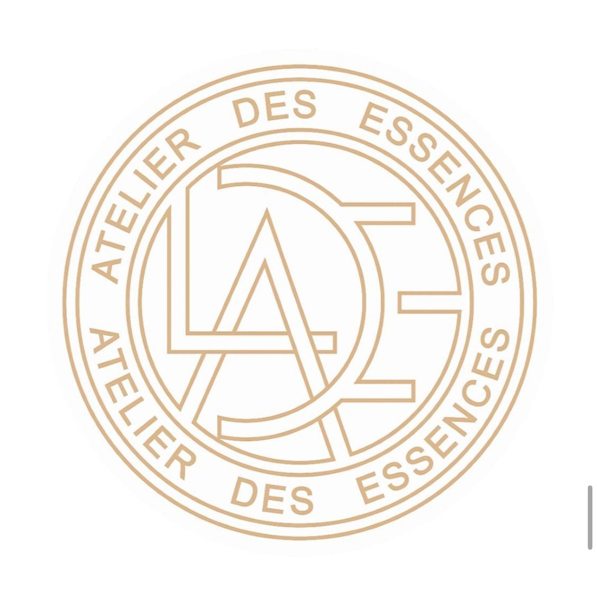 ATELIER DES ESSENCES - Nuit Envoûtante – Eau de Parfum Femme 100 ml - Akarra Jade