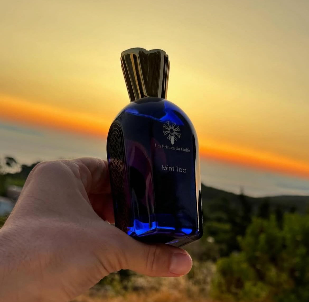 Mini Tea – Les Princes Du Golfe