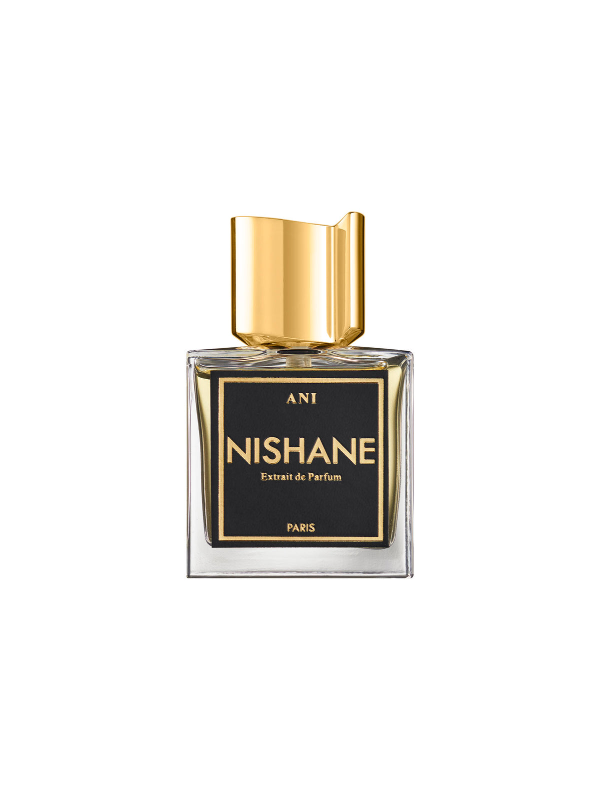 NISHANE | ANI