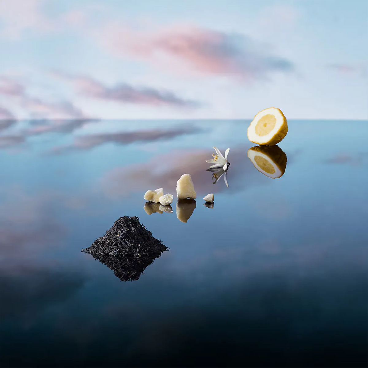 Imagination – Louis Vuitton